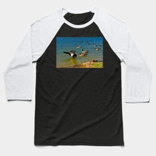 Geese Sitting on Lake Baseball T-Shirt